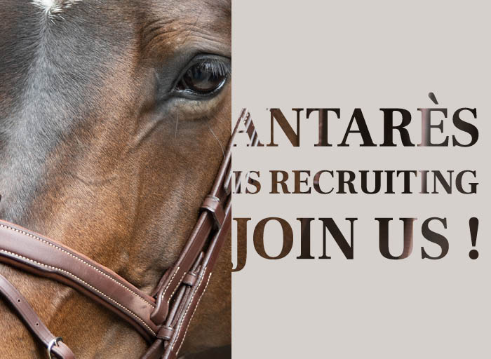 ANTARES RECRUTING