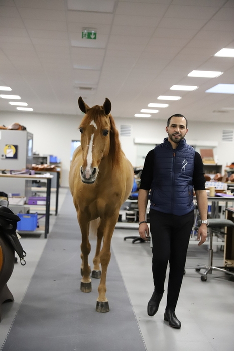 antares monoflap dressage horse saddle hassen peyo girth horse riding helmets saddle pad reins horse briddle