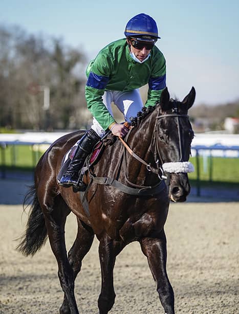 GAETAN MASURE ANTARES RIDERS