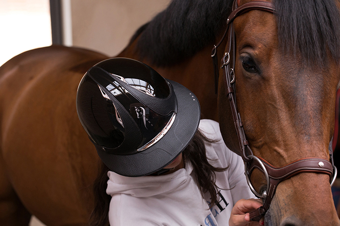Casque et bridon Antarès