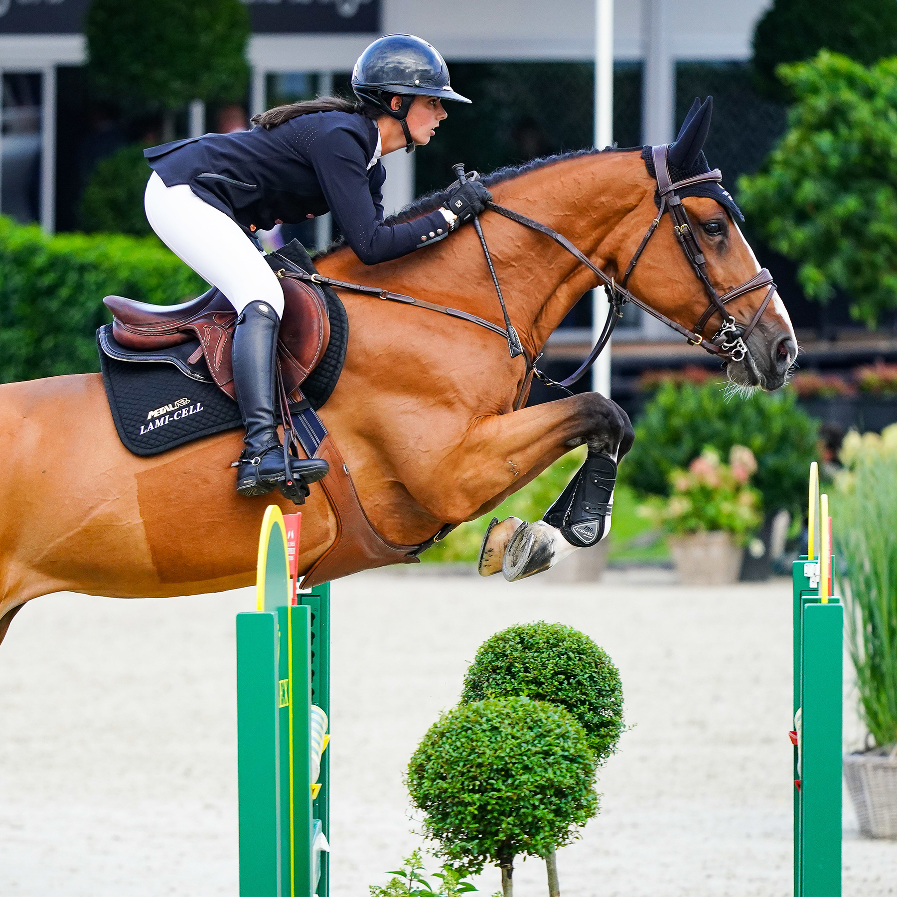 Nina Mallevaey Antarès rider