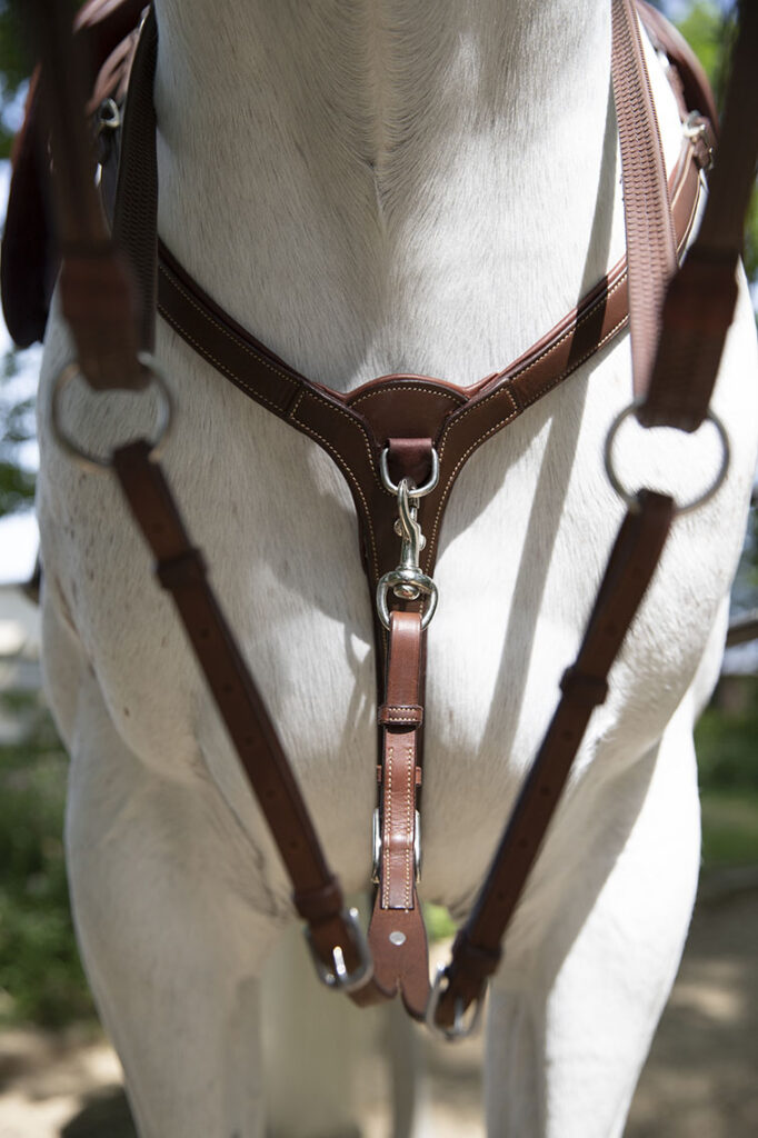 Enrênement martingale à anneaux Antarès
