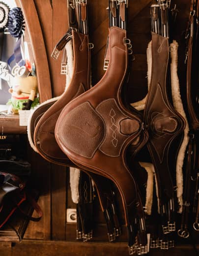 sangles d'équitation