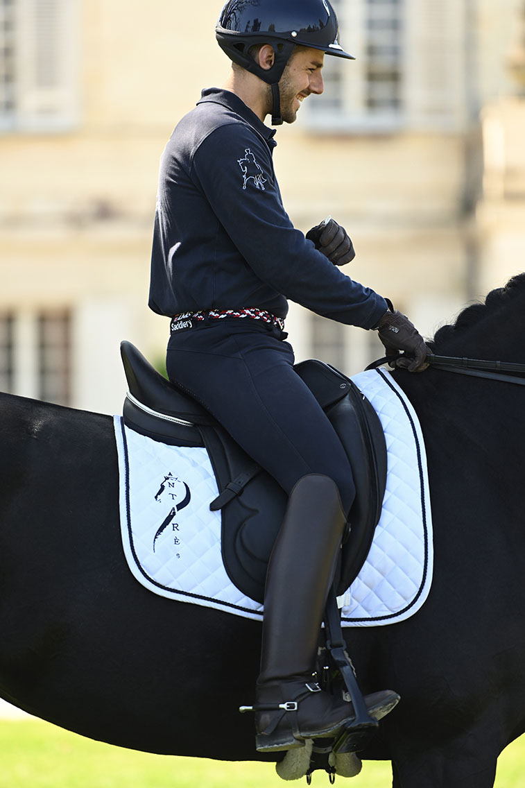 antares saddles collection custom saddle