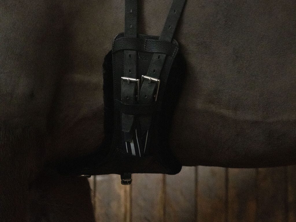 sangle courte dressage