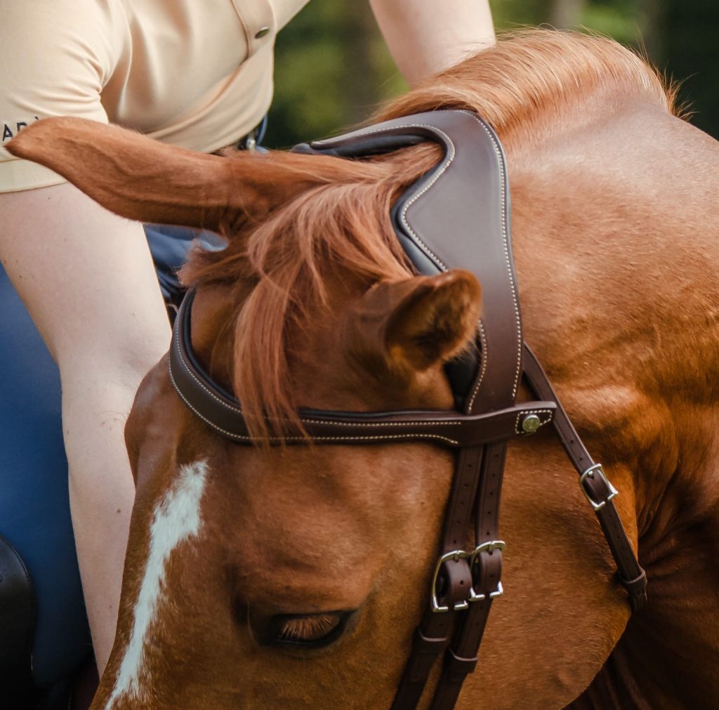 têtiere anatomique précision